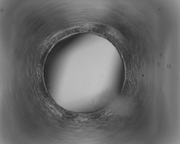 X0000085830773200703301618