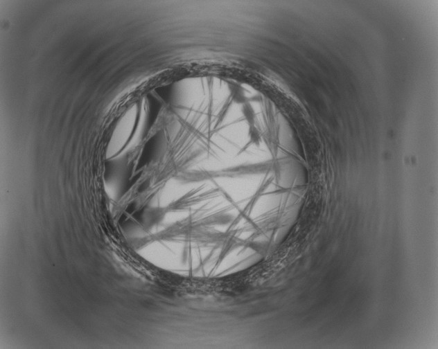 X0000085830775200703301618