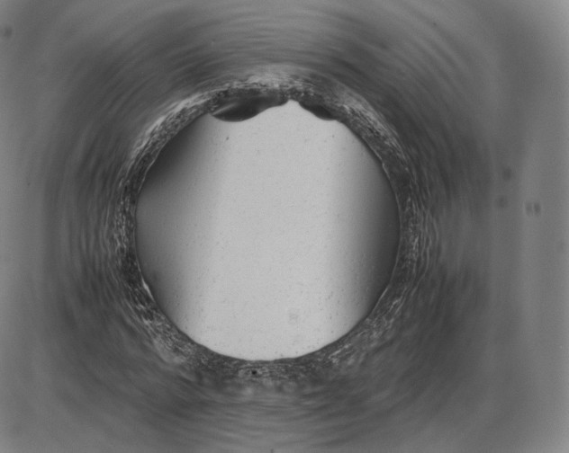 X0000085830776200703301618