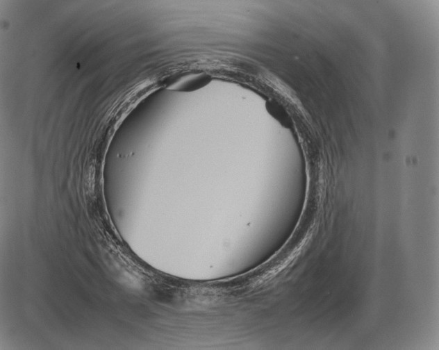 X0000085830777200703301618