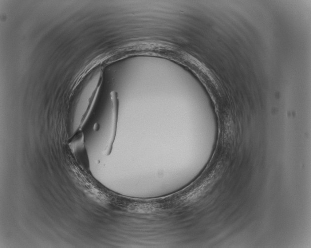 X0000085830778200703301618