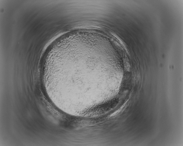 X0000085830779200703301618