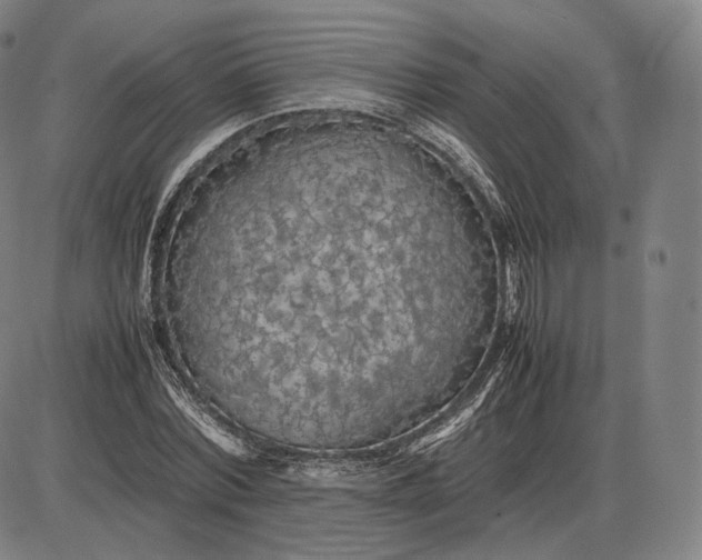 X0000085830780200703301618