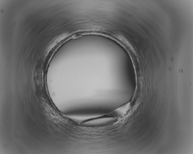 X0000085830781200703301618