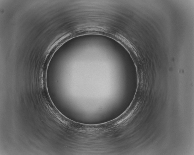 X0000085830782200703301618