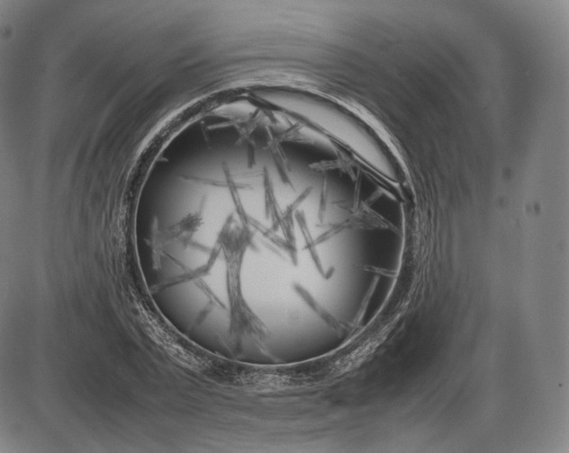 X0000085830783200703301618