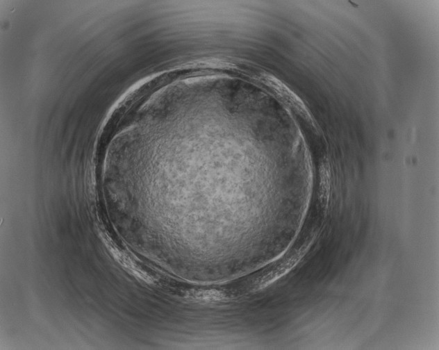 X0000085830784200703301618