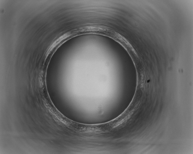 X0000085830786200703301618