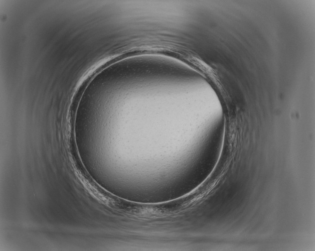 X0000085830787200703301618