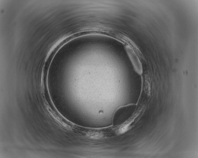 X0000085830788200703301618