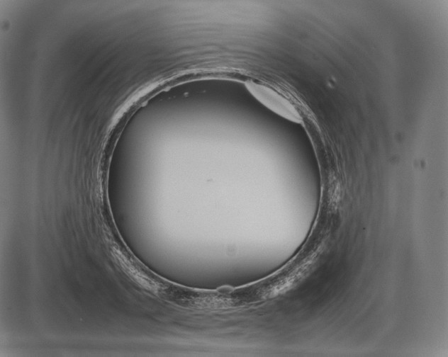 X0000085830789200703301618