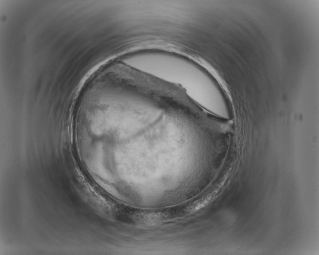 X0000085830791200703301618