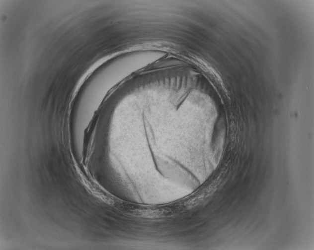 X0000085830792200703301618