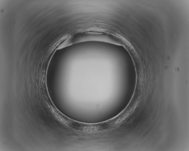 X0000085830793200703301618