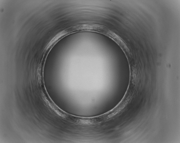 X0000085830794200703301618