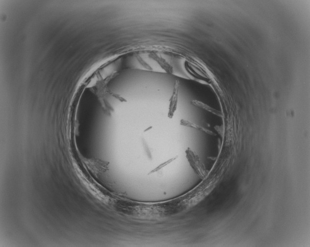 X0000085830795200703301618