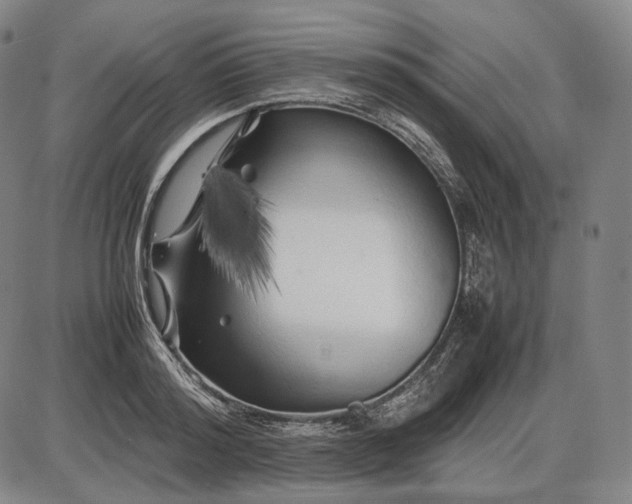 X0000085830796200703301618