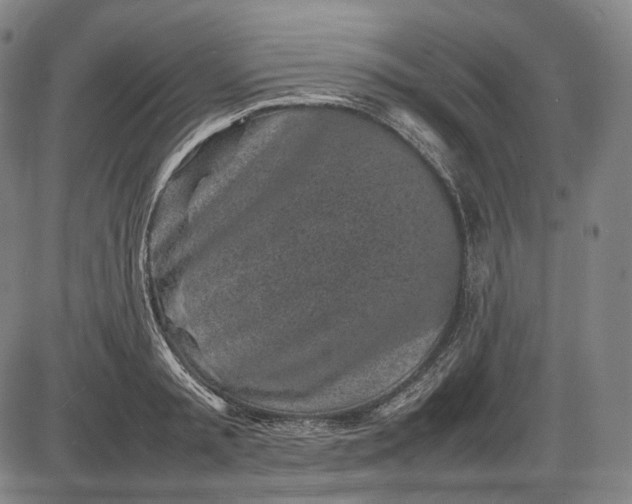 X0000085830797200703301618