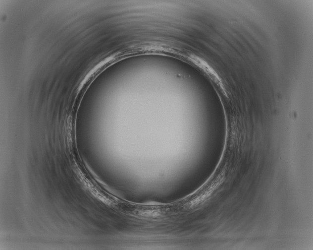 X0000085830798200703301618