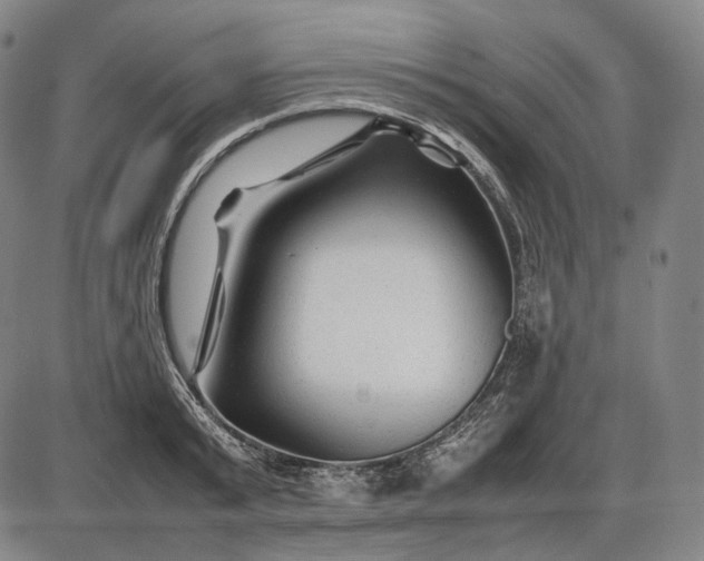 X0000085830799200703301618