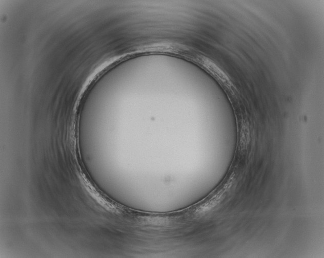 X0000085830800200703301618