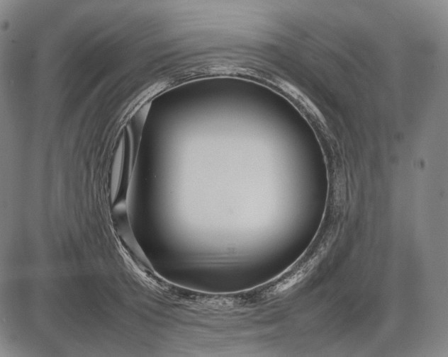 X0000085830801200703301618