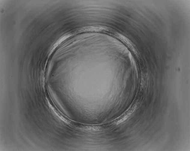 X0000085830802200703301618