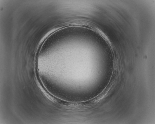 X0000085830803200703301618