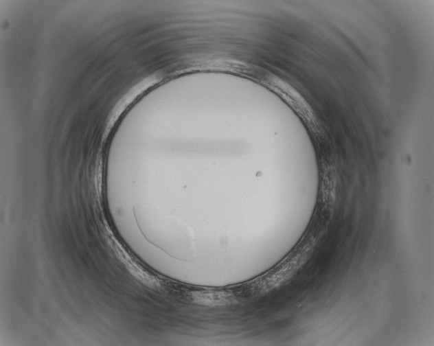 X0000085830804200703301618