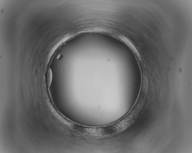 X0000085830805200703301618