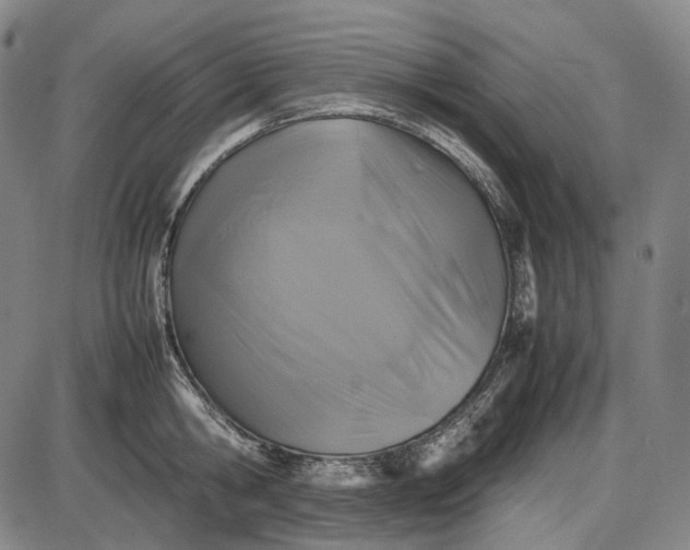 X0000085830806200703301618