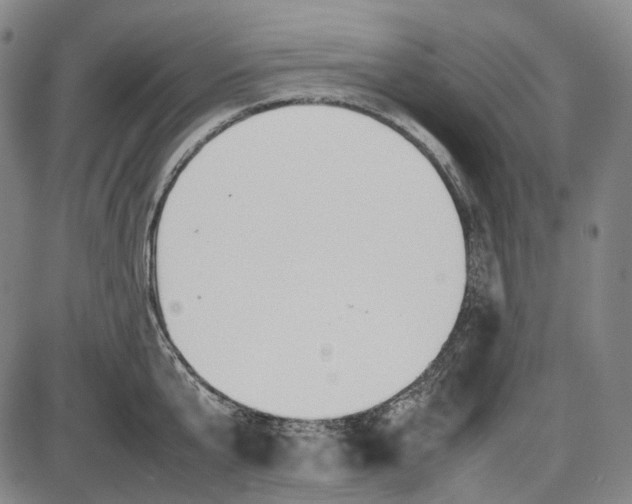 X0000085830807200703301618