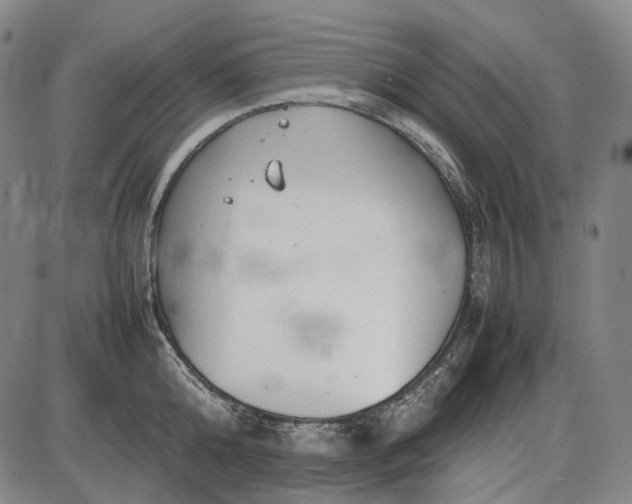 X0000085830808200703301618