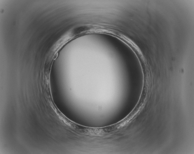 X0000085830809200703301618