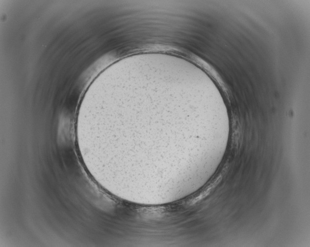 X0000085830810200703301618