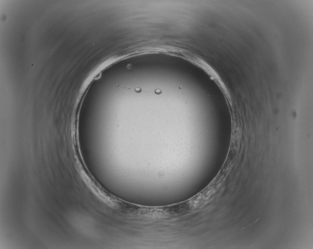 X0000085830811200703301618