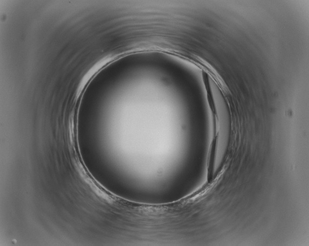 X0000085830812200703301617