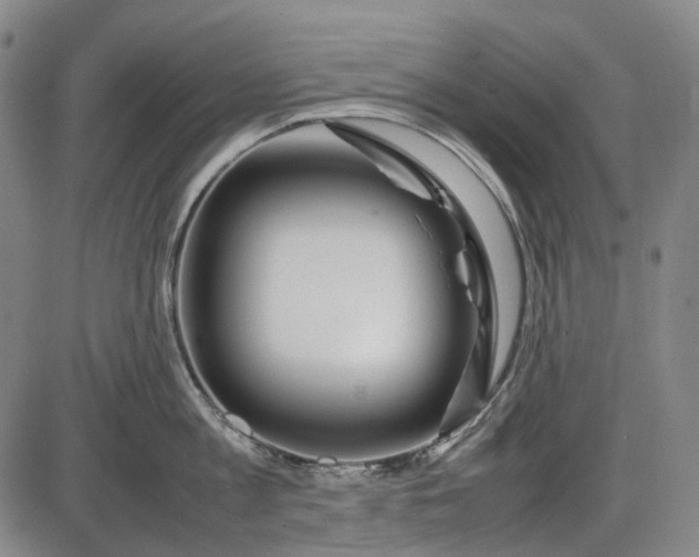 X0000085830813200703301617