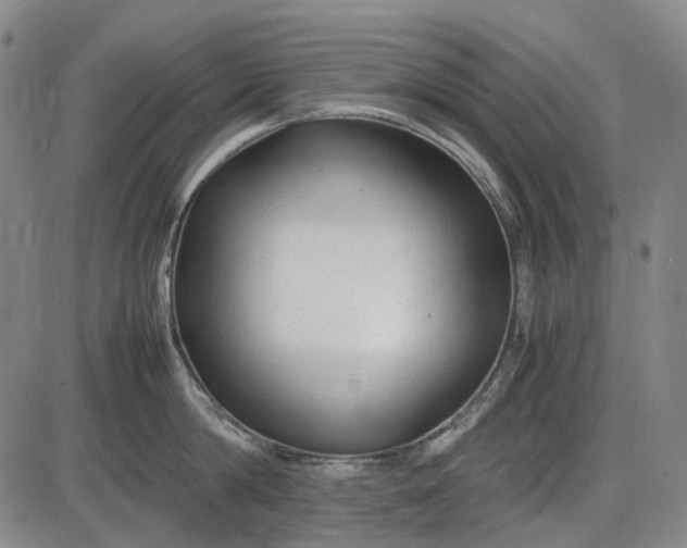 X0000085830814200703301617