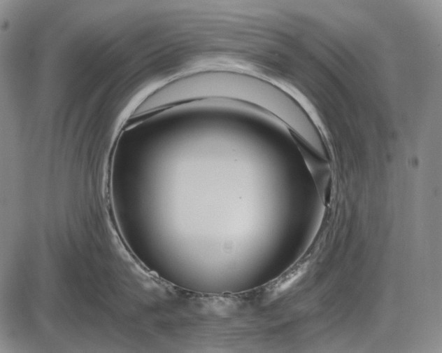 X0000085830815200703301617