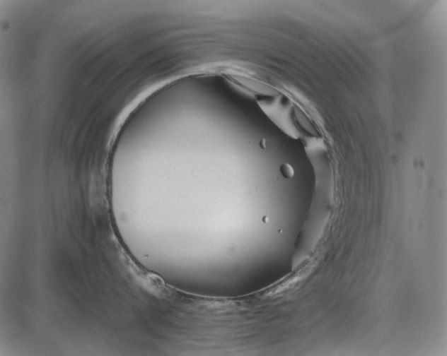 X0000085830816200703301617