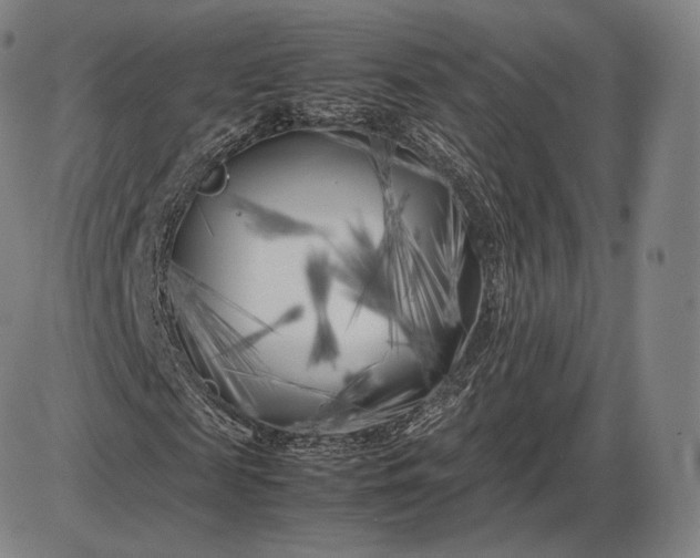 X0000085830817200703301617