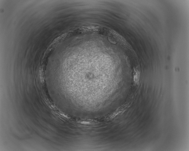 X0000085830819200703301617