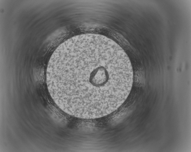 X0000085830820200703301617