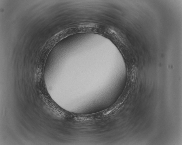 X0000085830821200703301617