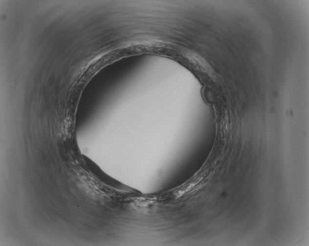 X0000085830822200703301617