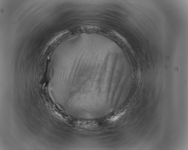 X0000085830823200703301617