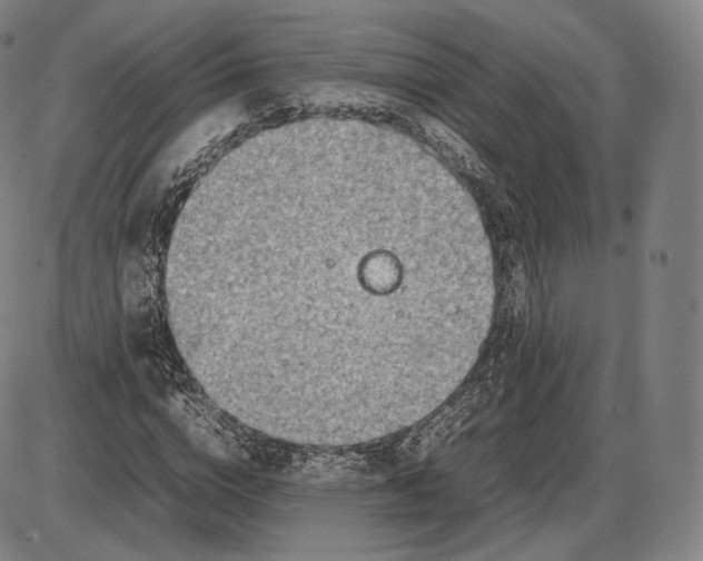 X0000085830824200703301617