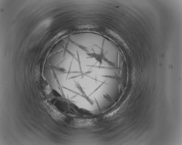 X0000085830825200703301617