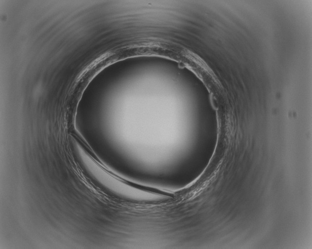 X0000085830826200703301617